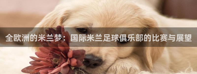 火凤直播足球赛免费视频：全欧洲的米兰梦：国际米兰足球俱乐部的比赛与展望