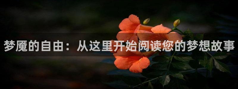 火凤体育免费直播入口：梦魇的自由：从这里开始阅读您的梦想故事
