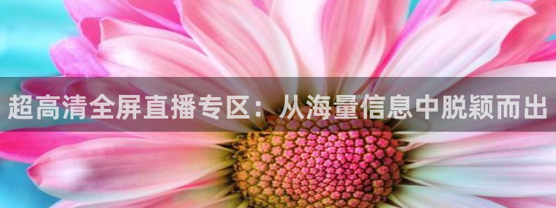 火凤直播nba：超高清全屏直播专区：从海量信息中脱颖而出