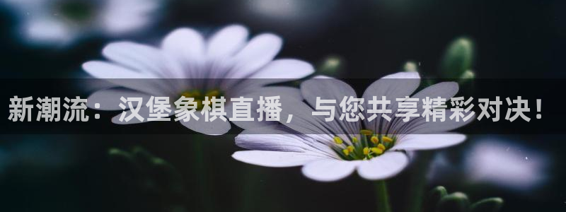 火凤直播五大联赛：新潮流：汉堡象棋直播，与您共享精彩对决！