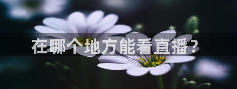 火凤直播体育免费直播火箭：在哪个地方能看直播？