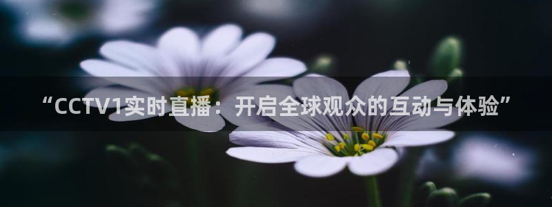 火凤直播体育app下载安装：“CCTV1实时直播：开启全球观众的互动与体验”