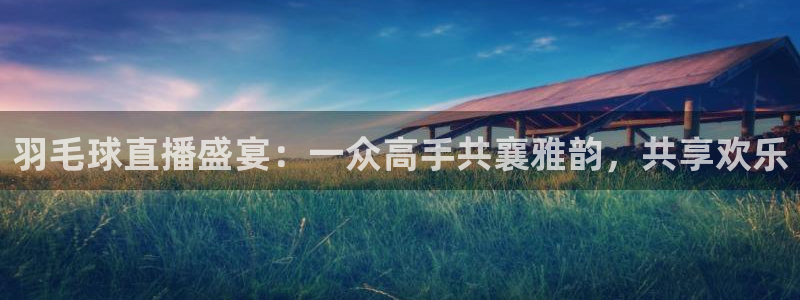 火凤体育直播在线观看高清：羽毛球直播盛宴：一众高手共襄雅韵，共享欢乐