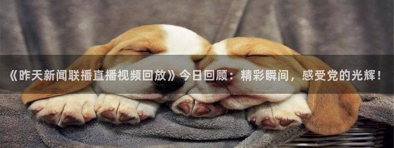 火凤直播体育直播：《昨天新闻联播直播视频回放》今日回顾：精彩瞬间，感受党的光辉！