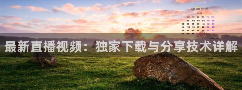 火凤直播篮球免费观看：最新直播视频：独家下载与分享技术详解