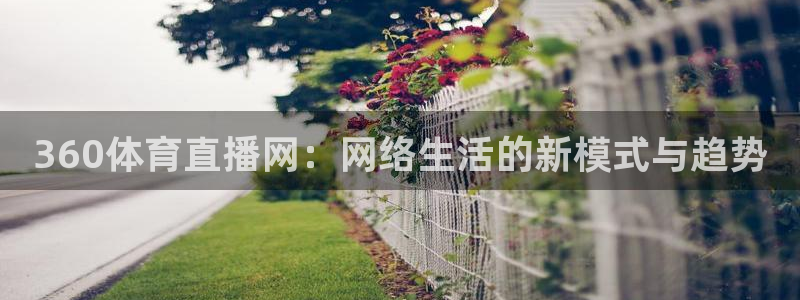 火凤体育免费直播在线观看：360体育直播网：网络生活的新模式与趋势