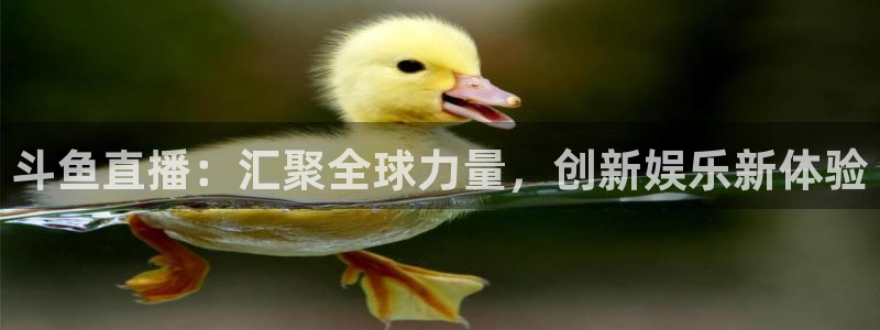 火凤直播足球免费观看：斗鱼直播：汇聚全球力量，创新娱乐新体验
